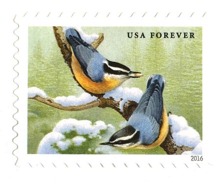 100 Forever Stamps Evergreen Bird Postage Stamps for Mailing Invitations